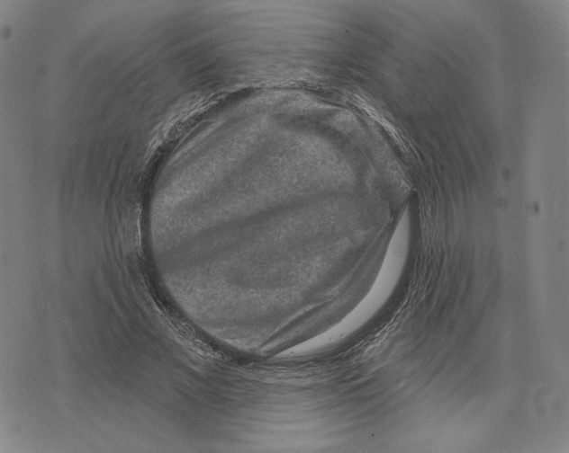 X0000071800685200607211647