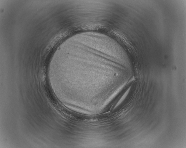 X0000071800687200607211647