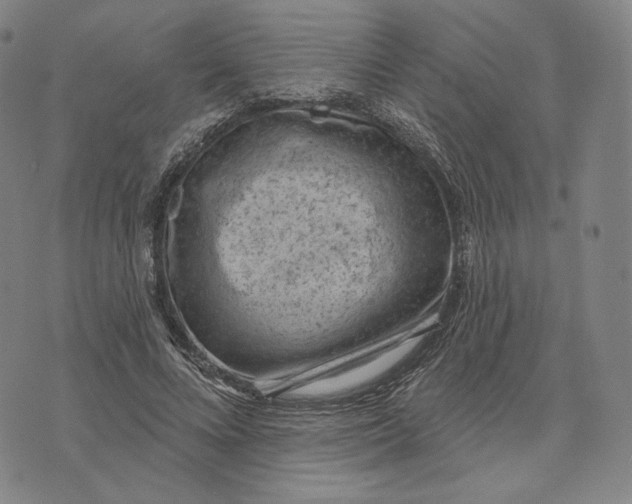 X0000071800688200607211647