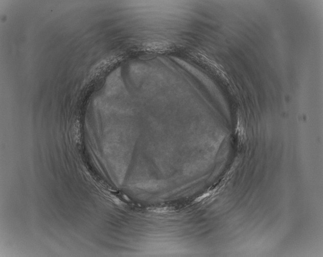 X0000071800689200607211647