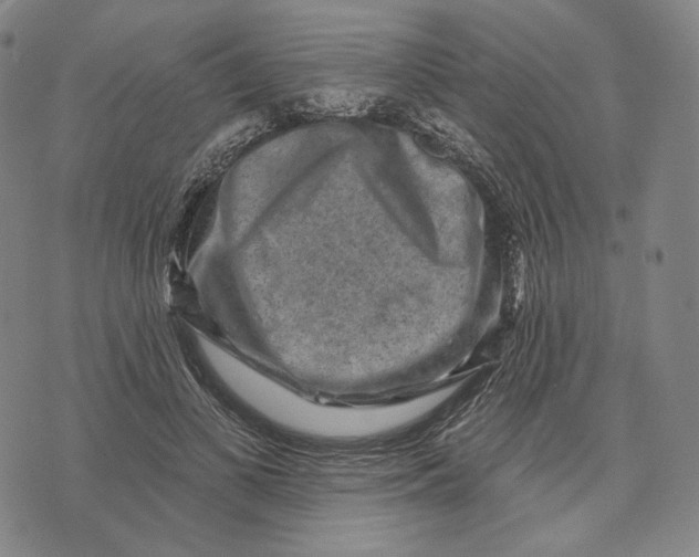 X0000071800693200607211647