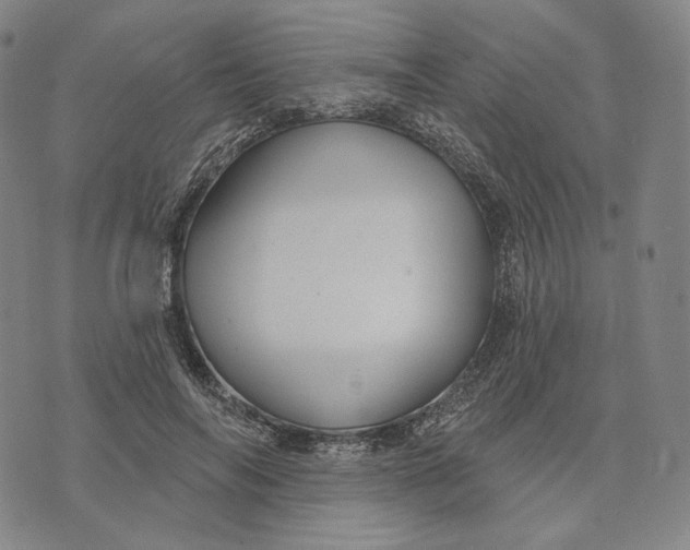 X0000071800694200607211647