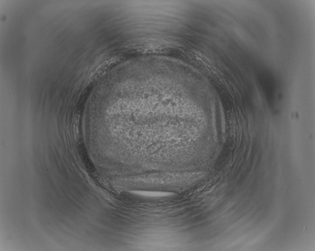 X0000071800695200607211647