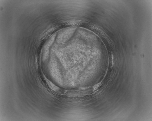 X0000071800696200607211647