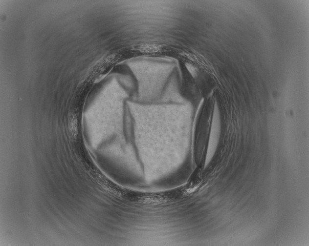 X0000071800697200607211647