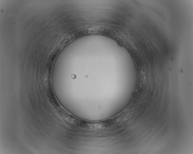 X0000071800698200607211647