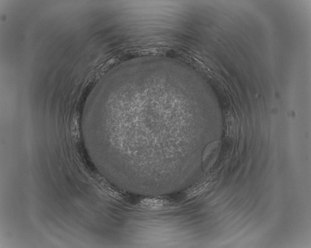 X0000071800699200607211647