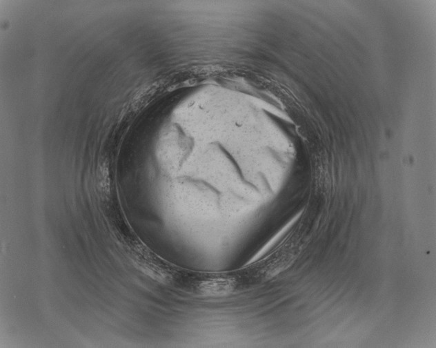 X0000071800700200607211647