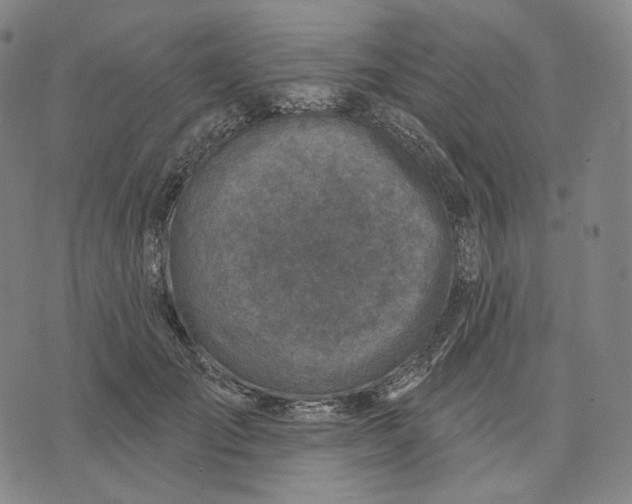 X0000071800701200607211647