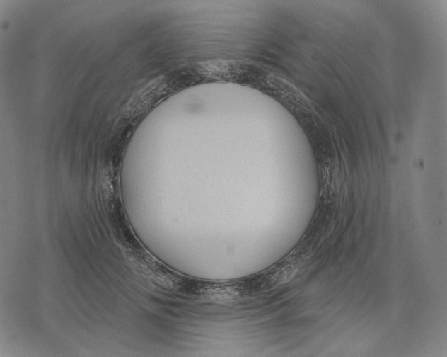 X0000071800702200607211647