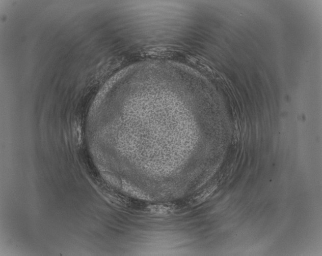 X0000071800703200607211647