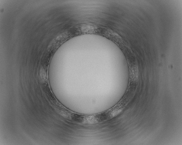 X0000071800705200607211647