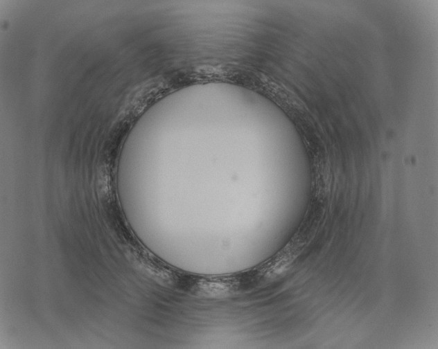 X0000071800706200607211647