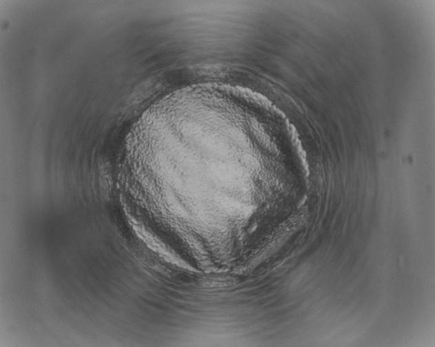 X0000071800707200607211647