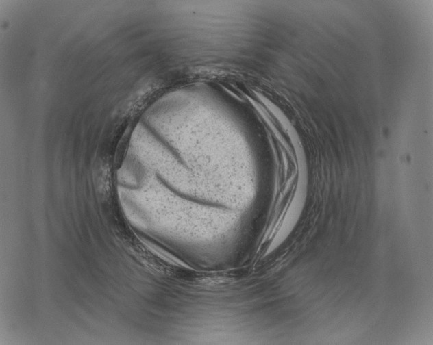 X0000071800708200607211647