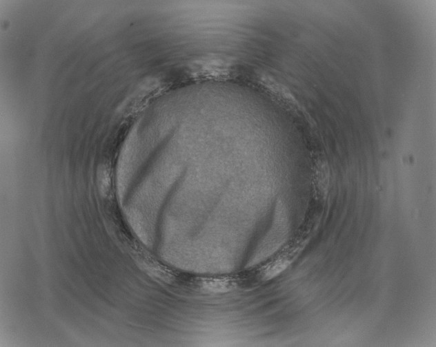 X0000071800709200607211647