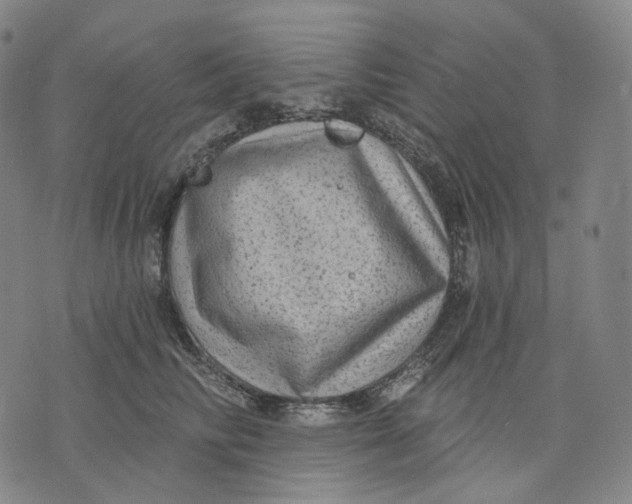 X0000071800710200607211647