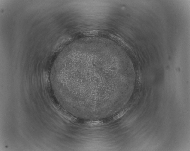 X0000071800711200607211647