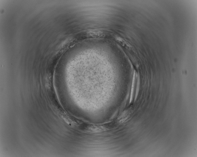 X0000071800712200607211647