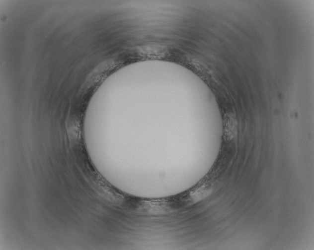 X0000071800713200607211647