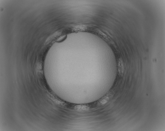 X0000071800714200607211647