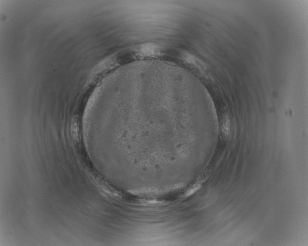 X0000071800715200607211647