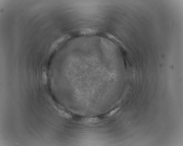 X0000071800716200607211647