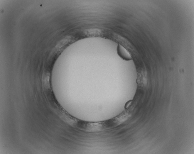 X0000071800717200607211647