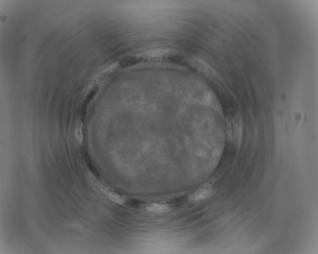 X0000071800718200607211647