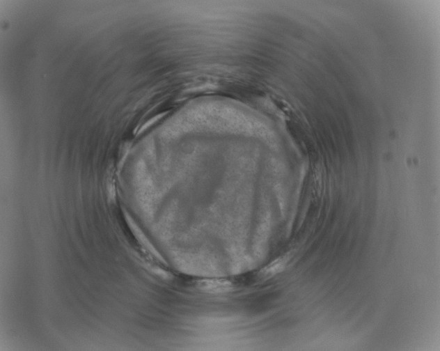 X0000071800719200607211647