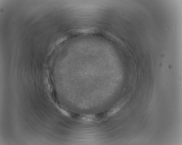 X0000071800720200607211647