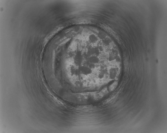 X0000071800721200607211646