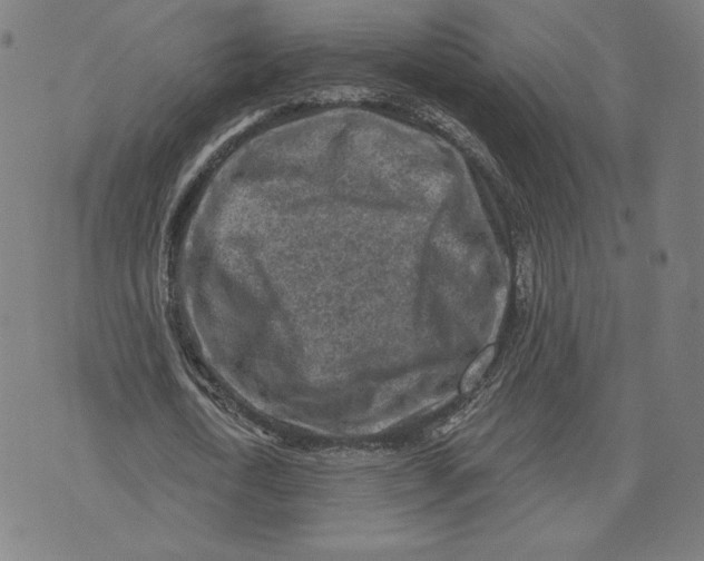 X0000071800722200607211646