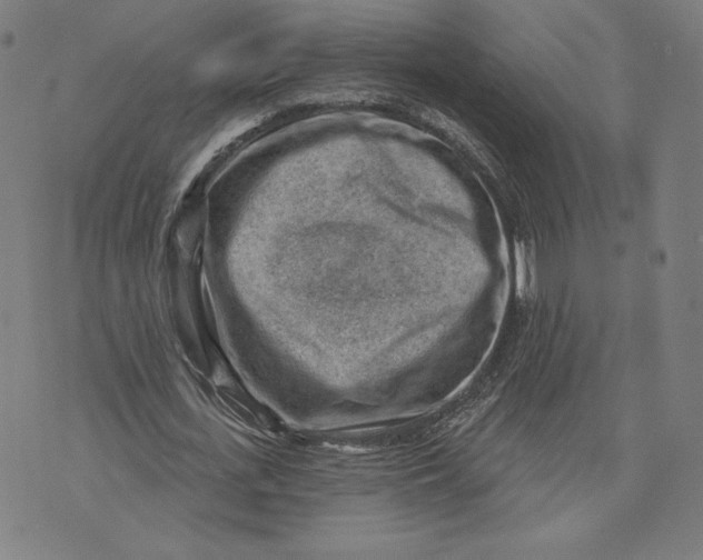 X0000071800723200607211646