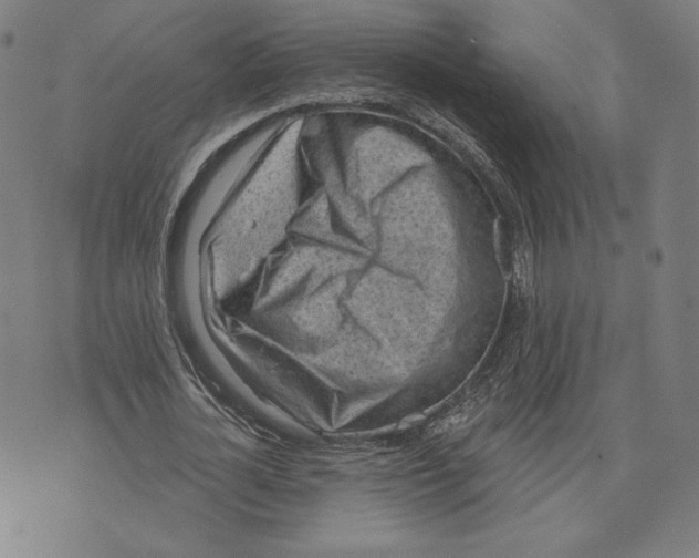 X0000071800724200607211646