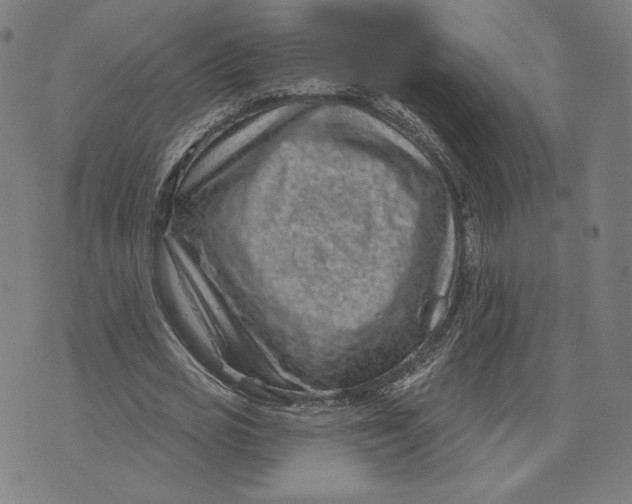 X0000071800725200607211646