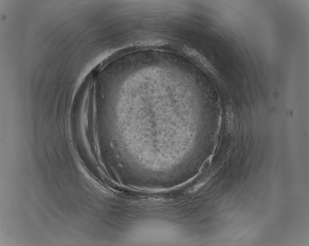 X0000071800726200607211646