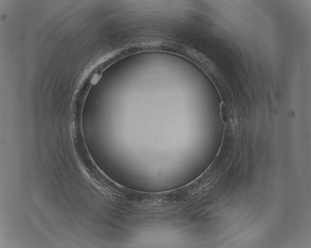 X0000071800728200607211646