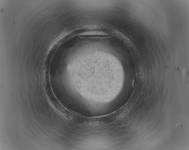 X0000071800730200607211646