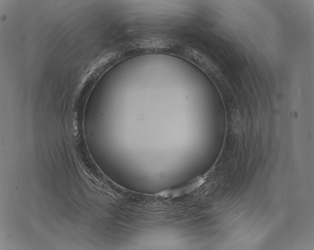 X0000071800731200607211646