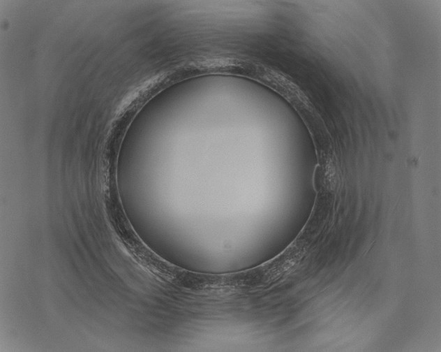 X0000071800732200607211646