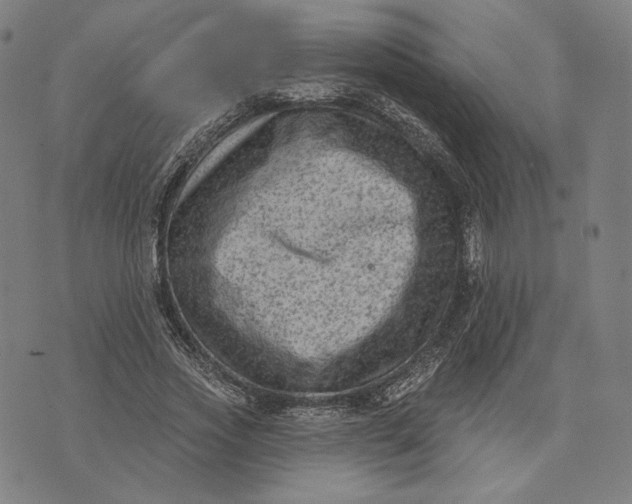 X0000071800733200607211646