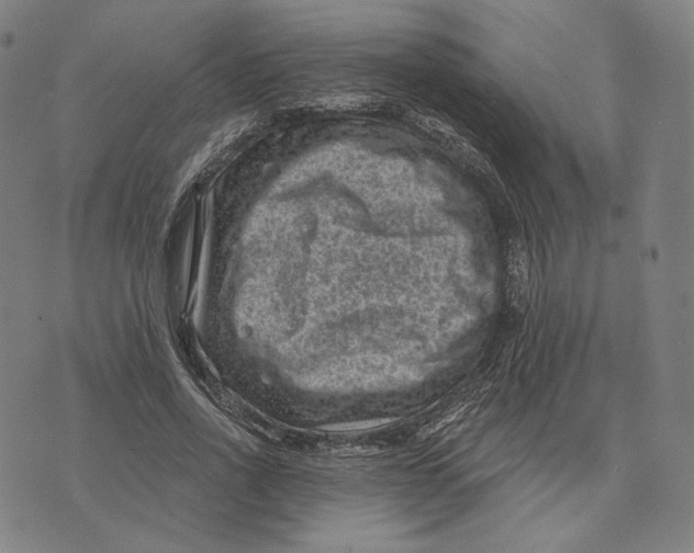 X0000071800734200607211646