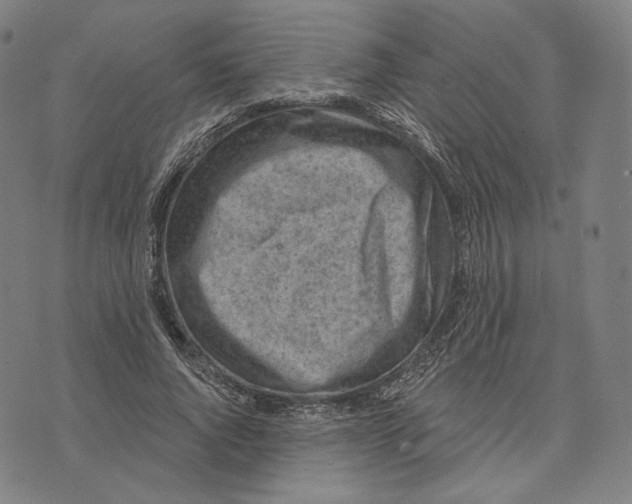 X0000071800736200607211646