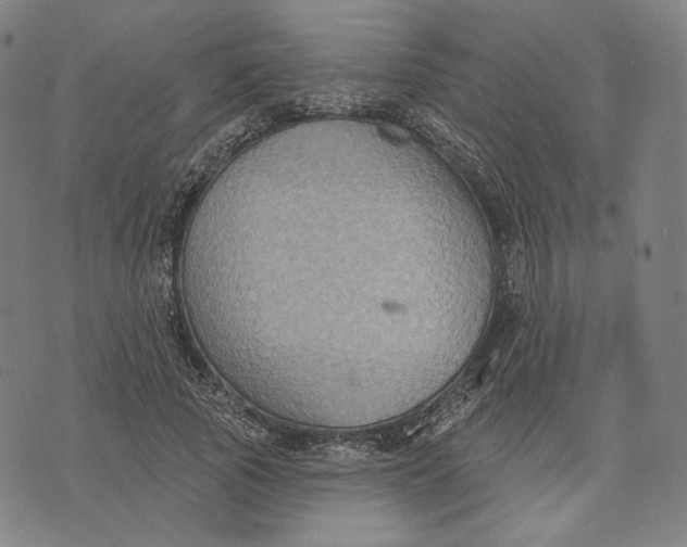 X0000071800737200607211646