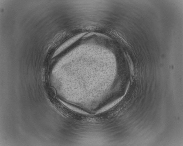 X0000071800738200607211646