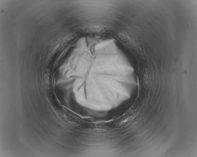 X0000071800739200607211646