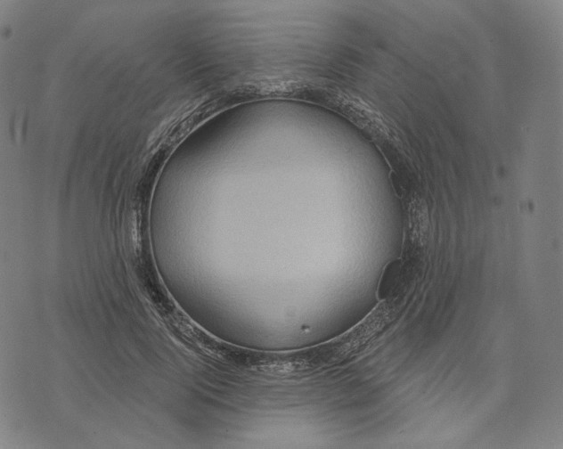 X0000071800740200607211646