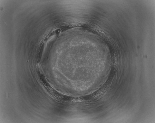 X0000071800742200607211646