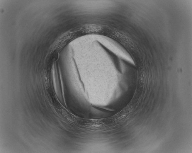 X0000071800743200607211646